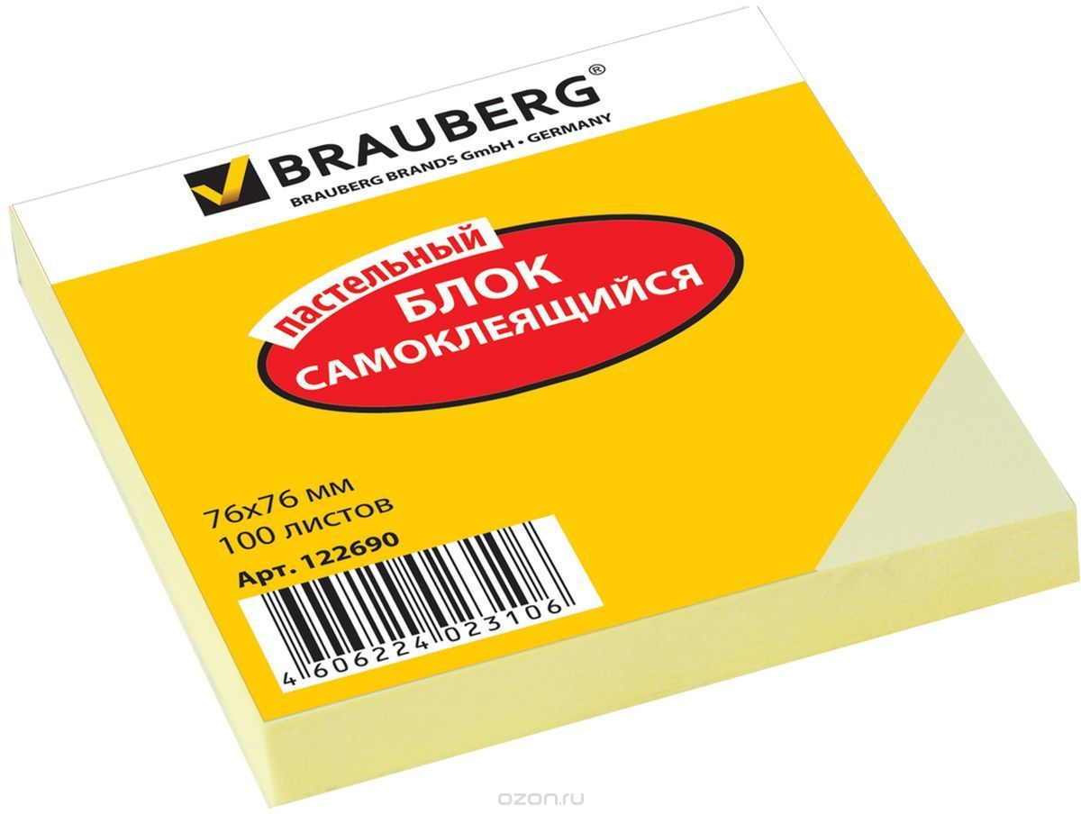 Brauberg    100   