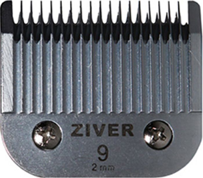     Ziver, 20.ZV.027, , 2 